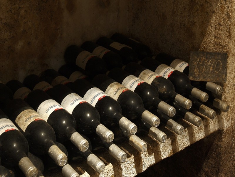 BOLGHERI, GRATTAMACCO IN VERTICALE