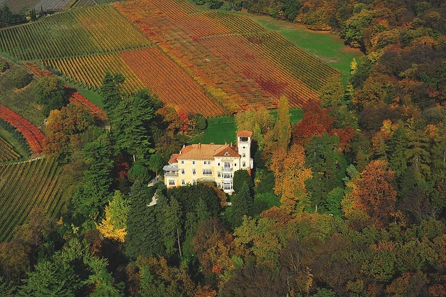 SAN LEONARDO - VERTICALE DI UN'ECCELLENZA ITALIANA 