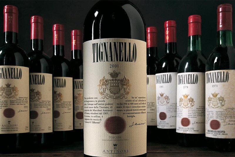 TIGNANELLO IN VERTICALE - TENUTA TIGNANELLO -TOSCANA