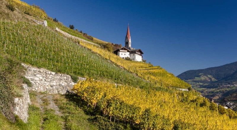 ALTO ADIGE 2010 (E SELEZIONI), LA DEGUSTAZIONE DEI MIGLIORI. PRIMA PARTE: CHARDONNAY E PINOT BIANCO