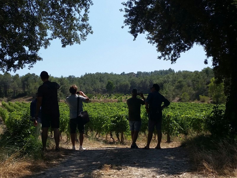 LA PROVENZA, UN DIARIO DI BORDO