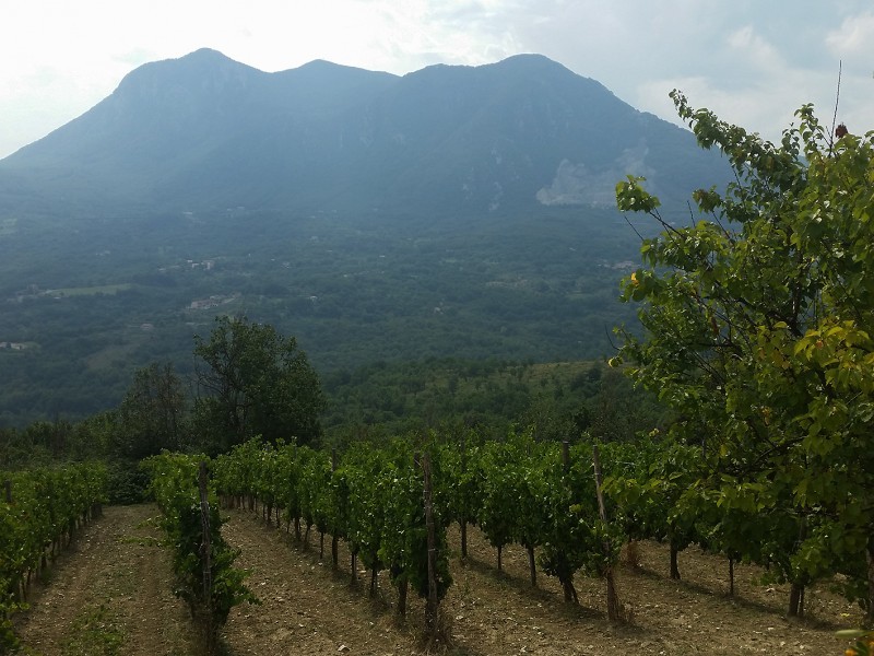 CAMPANIA: VIAGGIO TRA LE ECCELLENZE ENOGASTRONOMICHE DELLA REGIONE... UNA SCOPERTA E UN'EPIFANIA