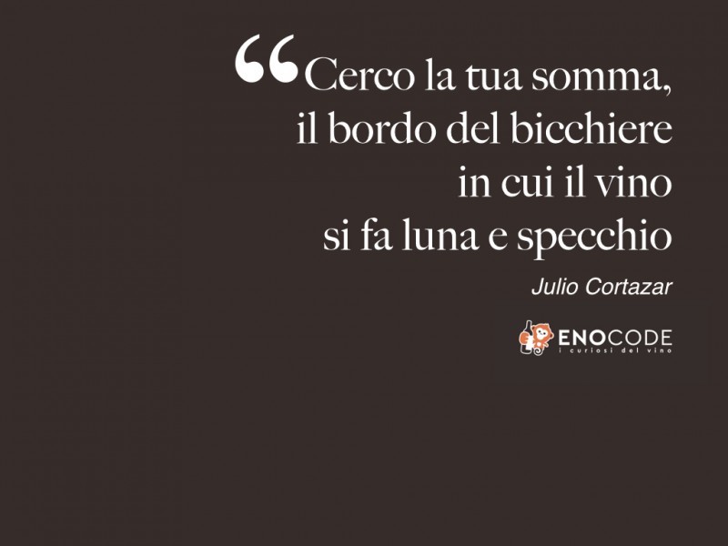 JULIO CORTAZAR CON UN CALICE DI VINO IN MANO, LE PILLOLE DI ENOCODE