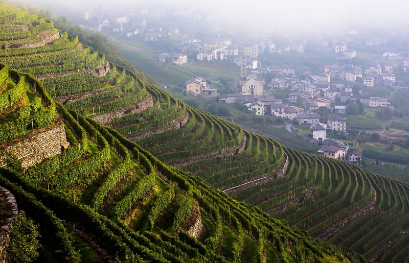 VALTELLINA: I VINI DELLA ROCCIA E DEL SOLE