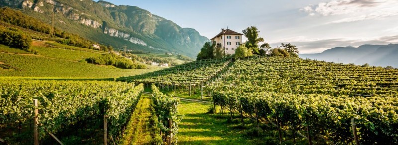 LE GIORNATE ALTOATESINE DEL PINOT NERO: DA SABATO 5 A LUNEDI' 7 MAGGIO A EGNA E MONTAGNA (BZ)