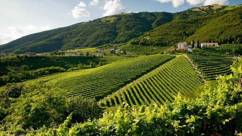 DAL 19 AL 21 MAGGIO VINO IN VILLA ACCENDE I RIFLETTORI SUL CONEGLIANO VALDOBBIADENE PROSECCO SUPERIORE DOCG