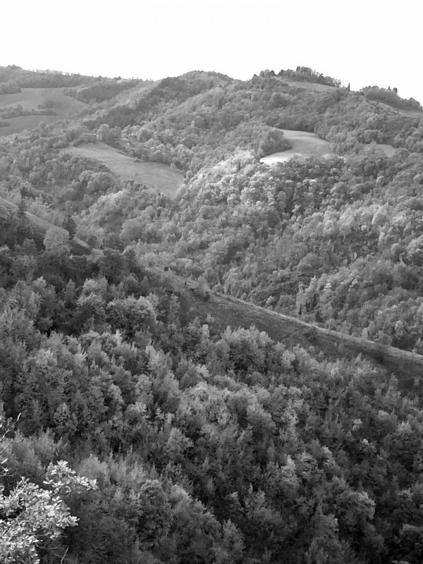 MODIGLIANA, STELLA DELL'APPENNINO